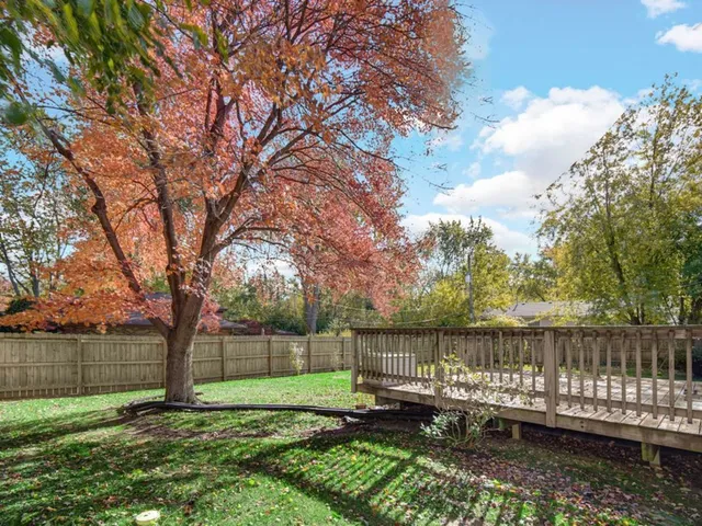 a view of a backyard with wooden fence and a large tree