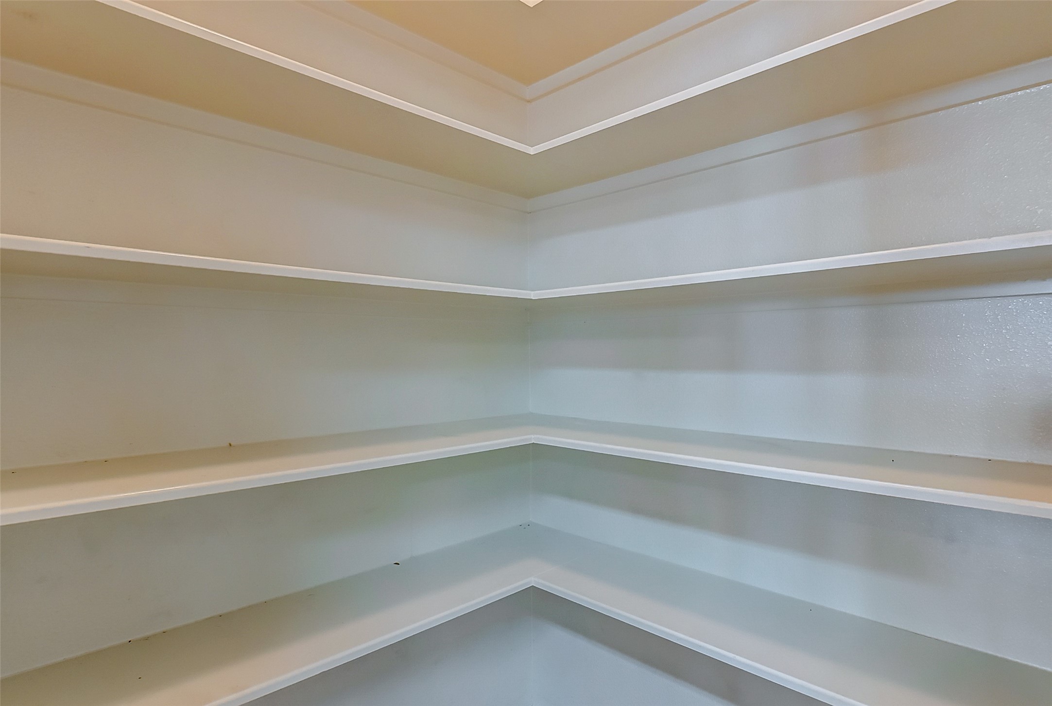 3238 Clipper Winds Way Houston, TX 77084 - Photo 7 of 21 Spacious walk in pantry.