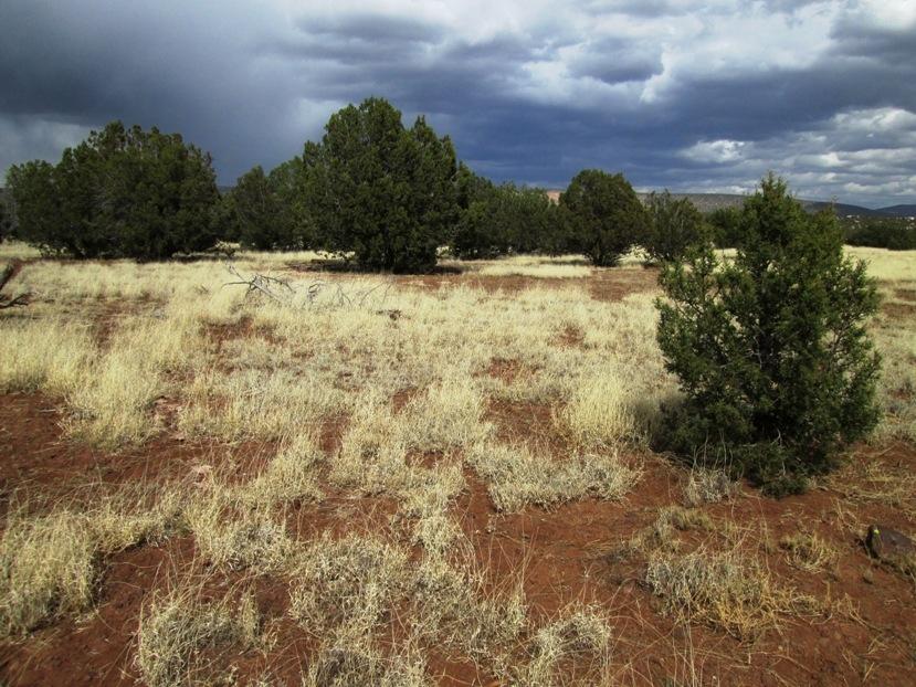1603 Cumberland Road Williams, AZ 86046 - Photo 11 of 15 IMG_0121