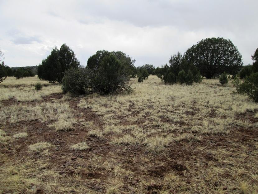 1603 Cumberland Road Williams, AZ 86046 - Photo 14 of 15 IMG_0124