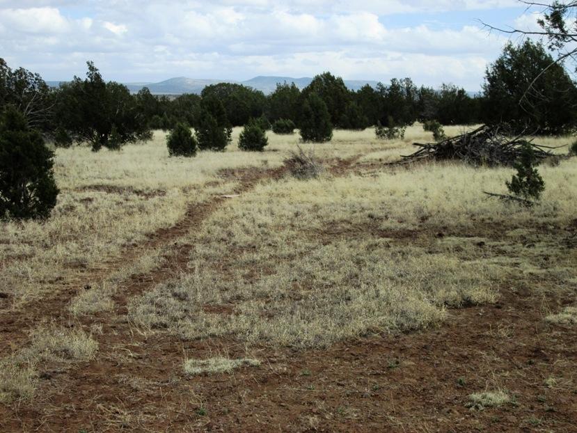 1603 Cumberland Road Williams, AZ 86046 - Photo 15 of 15 IMG_0125
