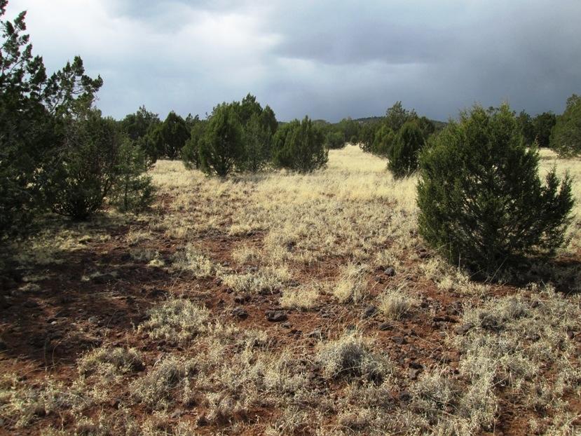 1603 Cumberland Road Williams, AZ 86046 - Photo 5 of 15 IMG_0114