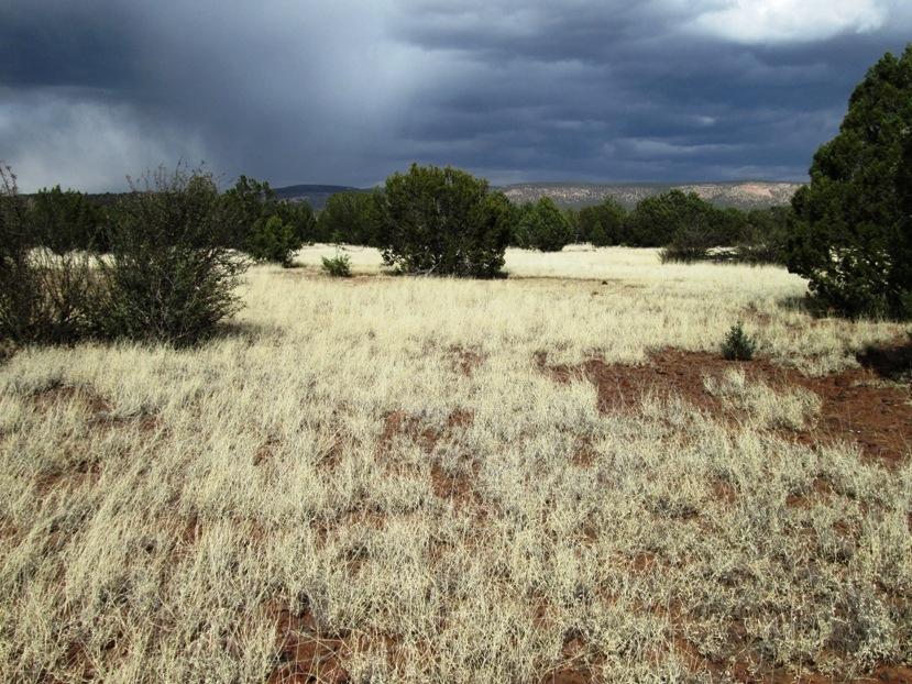 1603 Cumberland Road Williams, AZ 86046 - Photo 9 of 15 IMG_0118