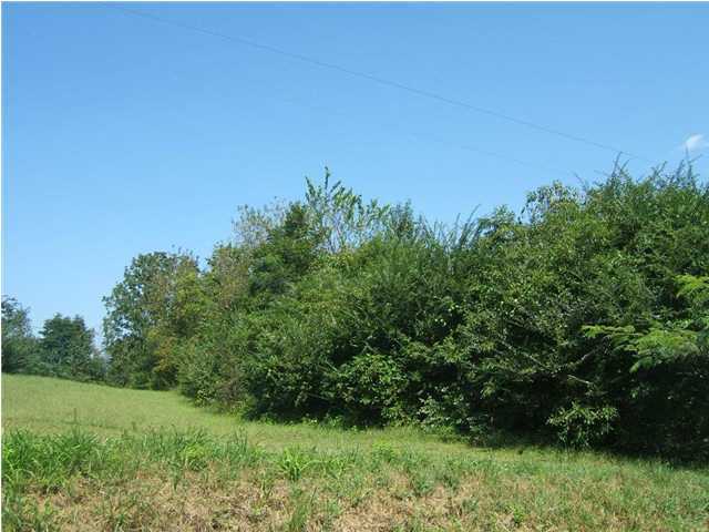 477 Ridge Road Dunlap, TN 37327 - Photo 14 of 20 Additional Photo
