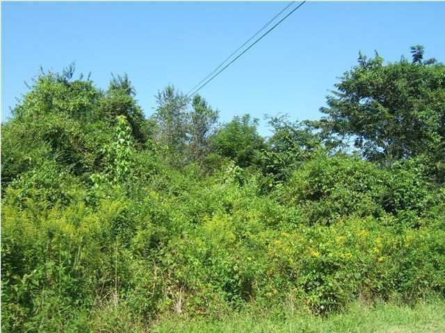 477 Ridge Road Dunlap, TN 37327 - Photo 18 of 20 Additional Photo