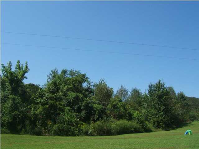 477 Ridge Road Dunlap, TN 37327 - Photo 19 of 20 Additional Photo