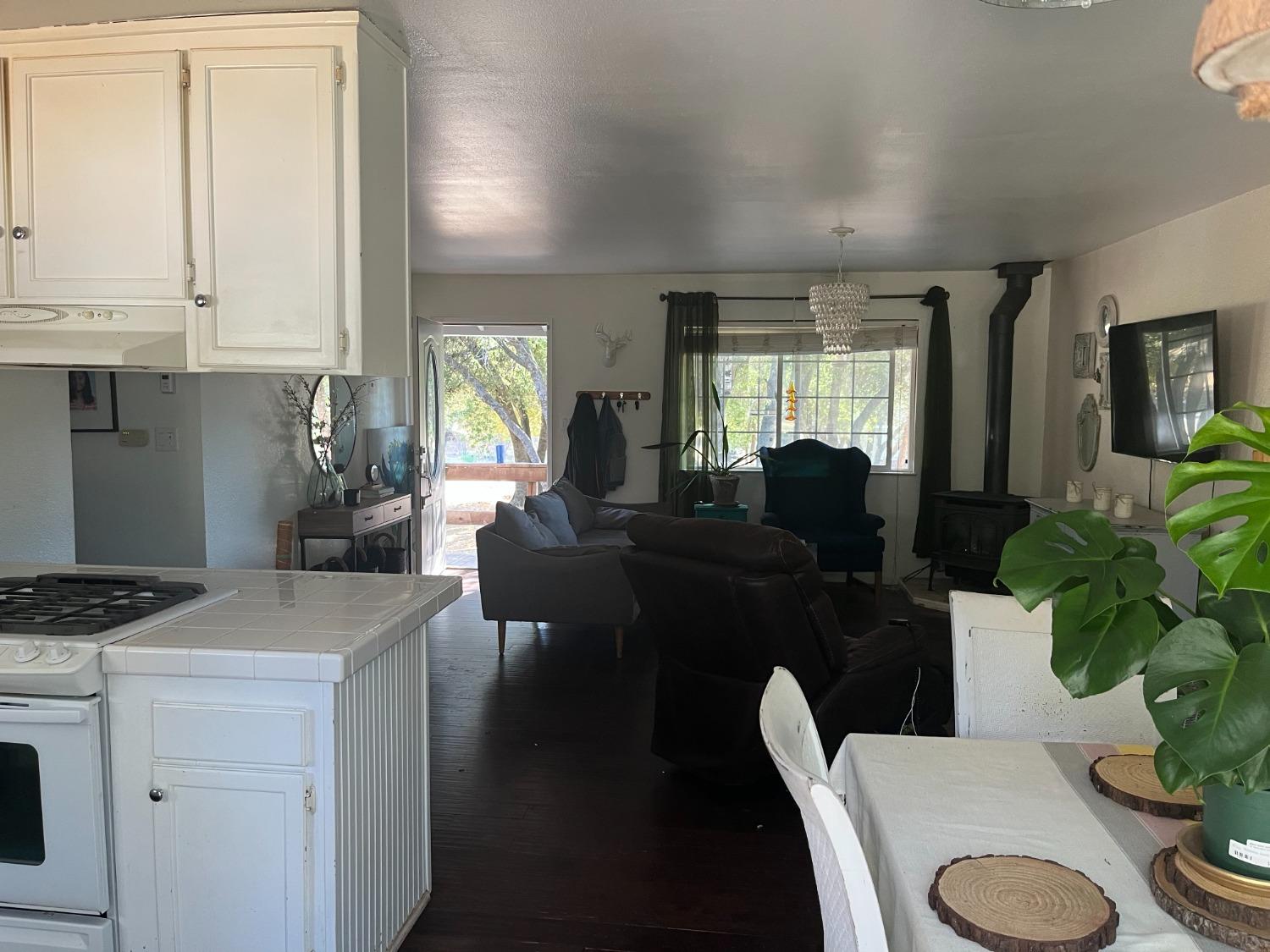 31397 Erie Road Coarsegold, CA 93614 - Photo 11 of 21 a living room with furniture and a potted plant