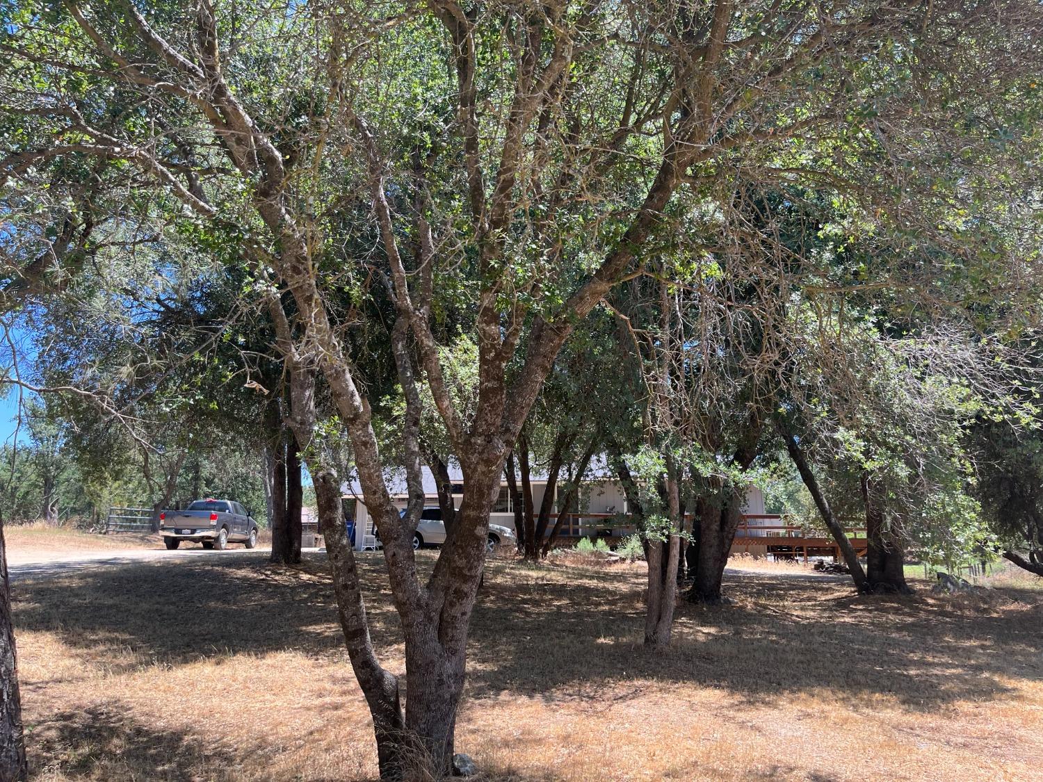 31397 Erie Road Coarsegold, CA 93614 - Photo 3 of 21 a street view with large trees