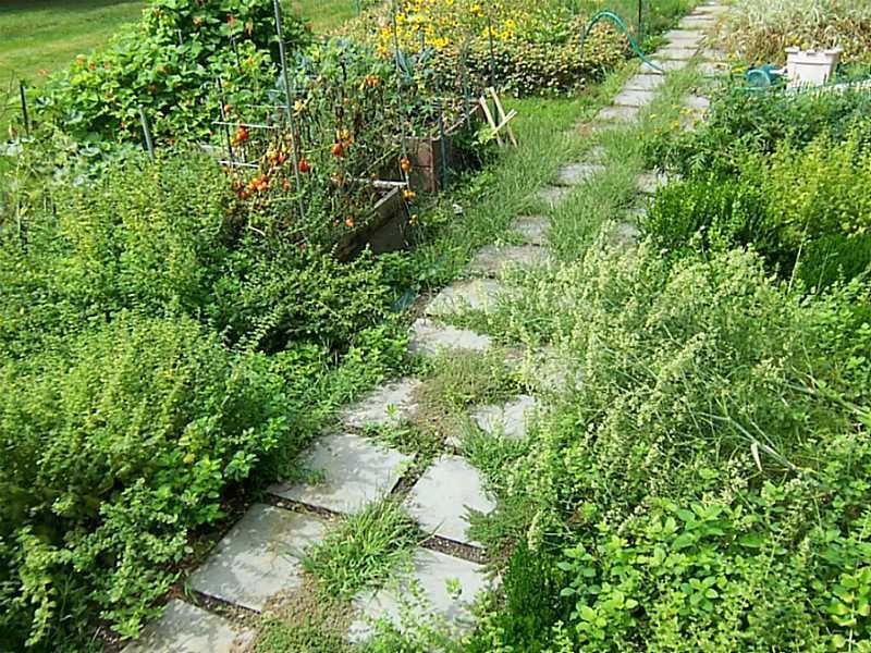 514 Summit Street Portland, ME 04103 - Photo 25 of 32 Yard/Garden.