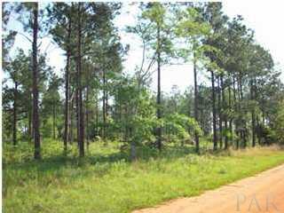 3810-2) O Farrell Road Century, FL 32535 - Photo 1 of 5 This is a beautiful piece of property