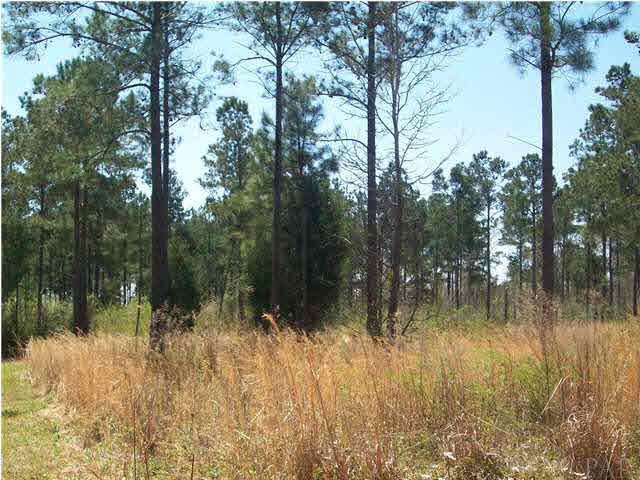 3810-2) O Farrell Road Century, FL 32535 - Photo 3 of 5 Look at the frontage with an additional 20 acres that can also be purchased.