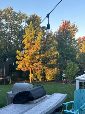 $575,000 | 2445 Peregrine Drive, New Lenox, IL 60451