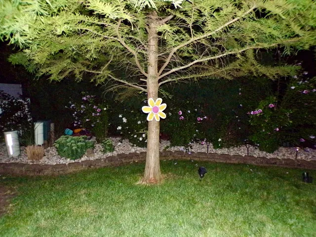 $575,000 | 2445 Peregrine Drive, New Lenox, IL 60451