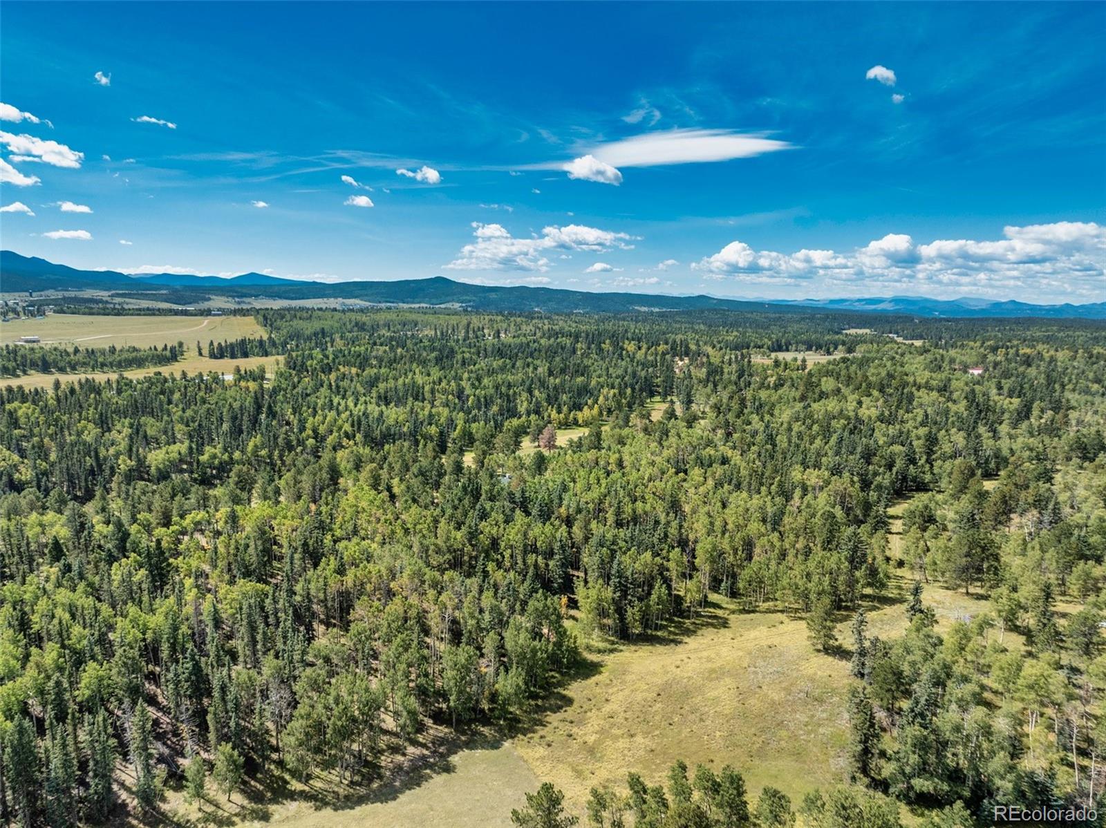 284 County Road 511 Divide, CO 80814 - Photo 44 of 50