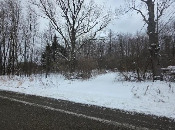 0 Greytown Hill Road Cambridge Springs, PA 16403 - Photo 10 of 10 a view of a yard covered in snow