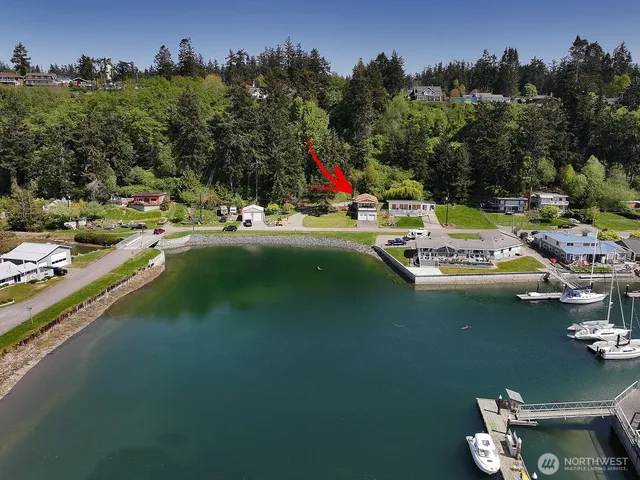 a view of a lake with boats and trees in the background