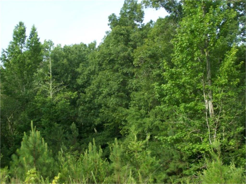 0 Dr Johnson Road Crandall, GA 30711 - Photo 6 of 6 Gallery Image 6