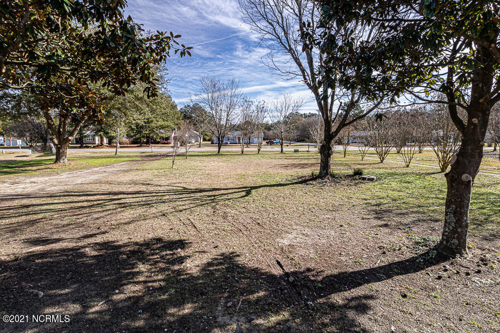 11092 Simms Road Bailey, NC 27807 - Photo 25 of 30 Front Yard