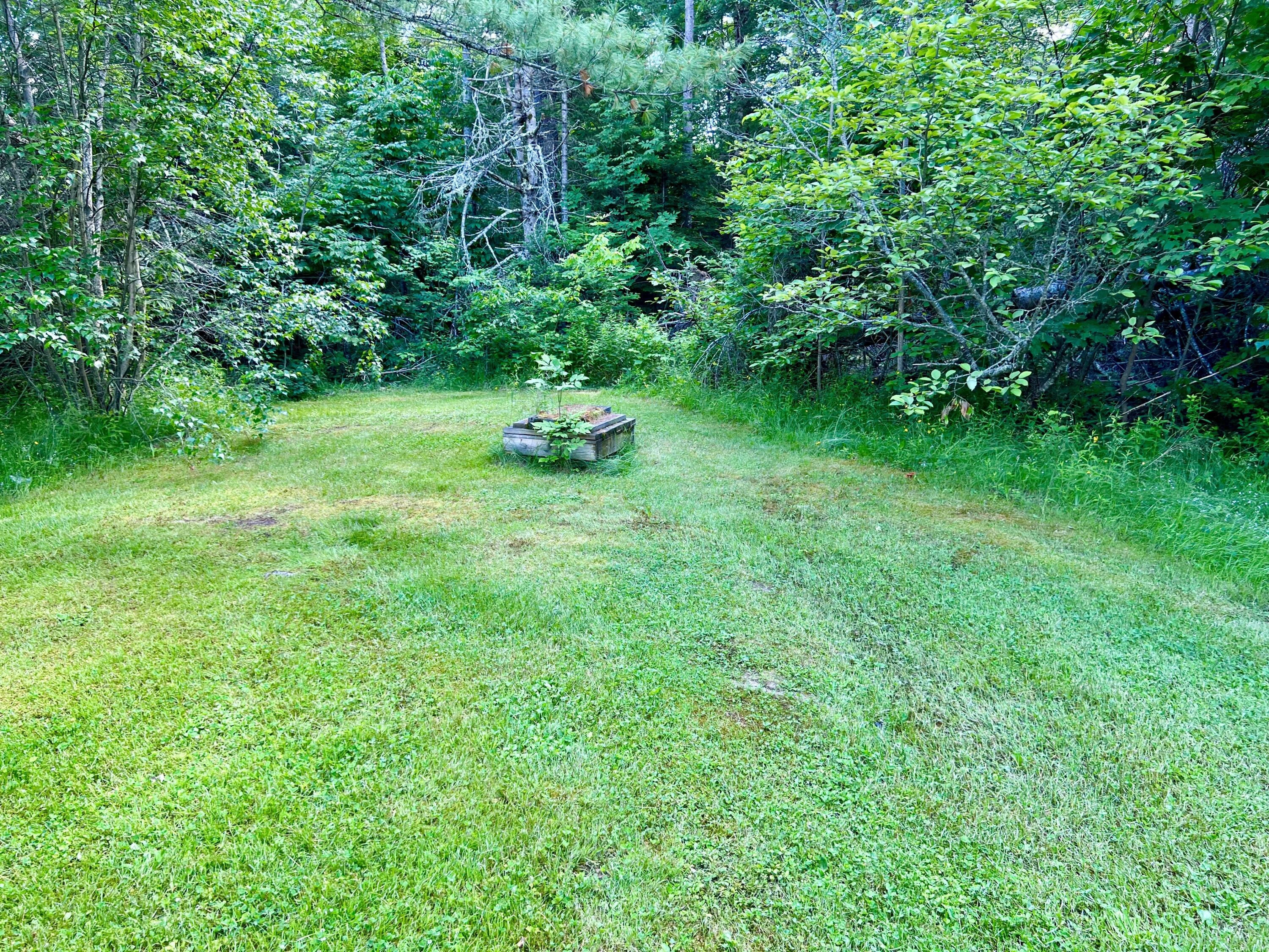 160 Boggy Brook Road Ellsworth, ME 04605 - Photo 34 of 37 Side yard
