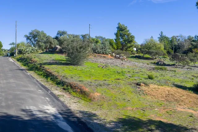 a view of a yard with plants and a bench