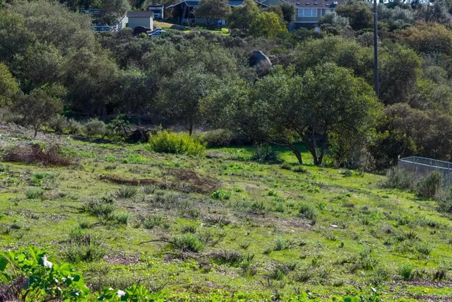an aerial view of residential house with outdoor space and trees all around