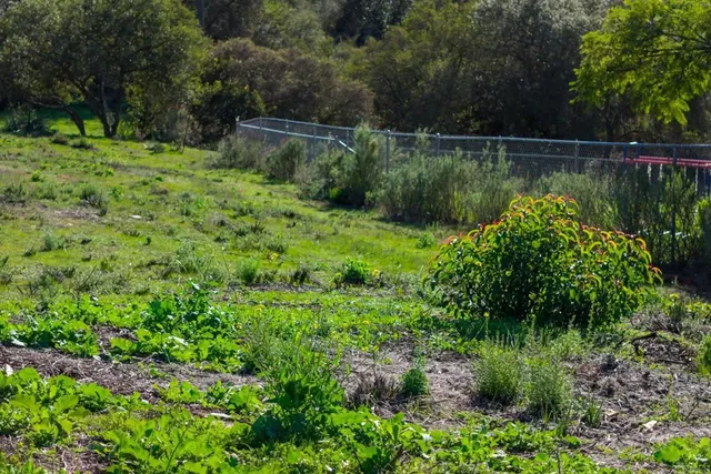 a view of a lake with a park