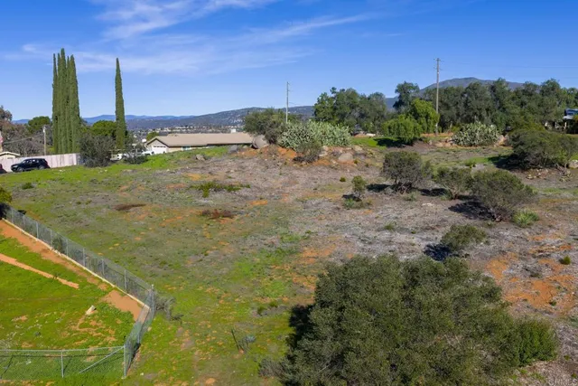 a view of a yard with lots of trees