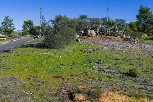 a backyard of a house with lots of green space