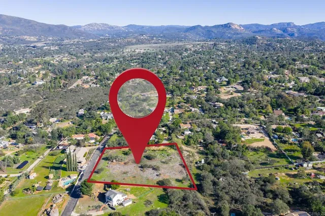 a view of a tree in a field with a mountain in the background