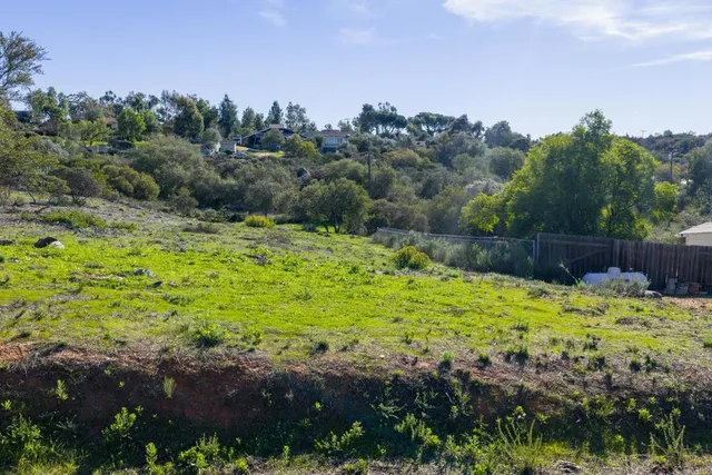 a view of a backyard with green space