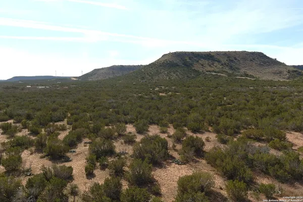 a view of a mountain in the distance in a field