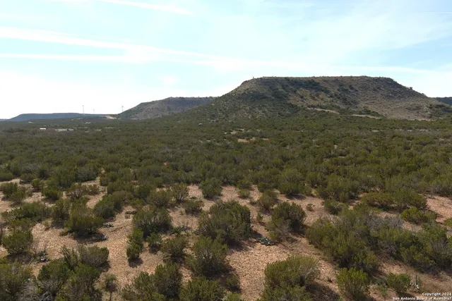 a view of a mountain in the distance in a field