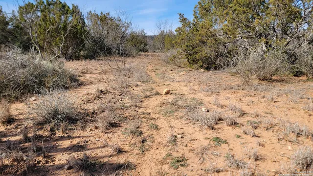a view of a yard covered with snow