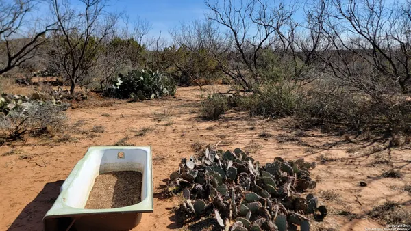 a view of a tree with a yard