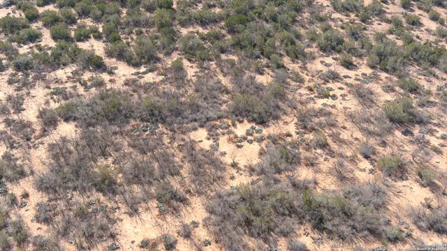 a view of a dry yard with trees