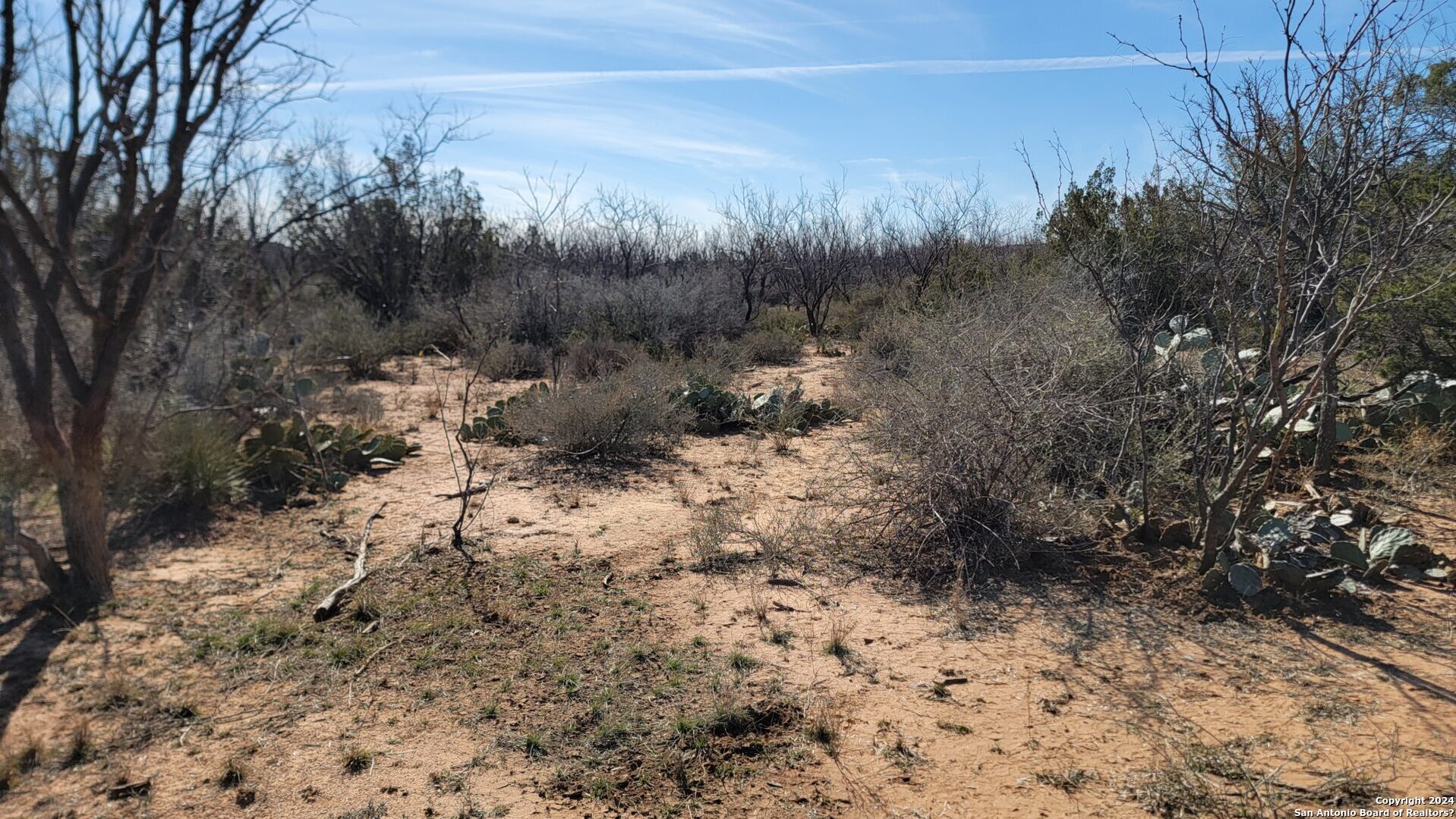 1 Warhorse Ranch Robert Lee, TX 76945 - Photo 25 of 31 a view of a dry yard with trees