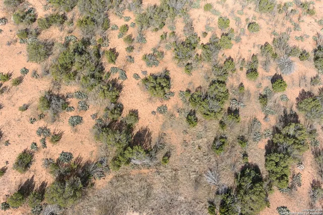a view of covered with snow