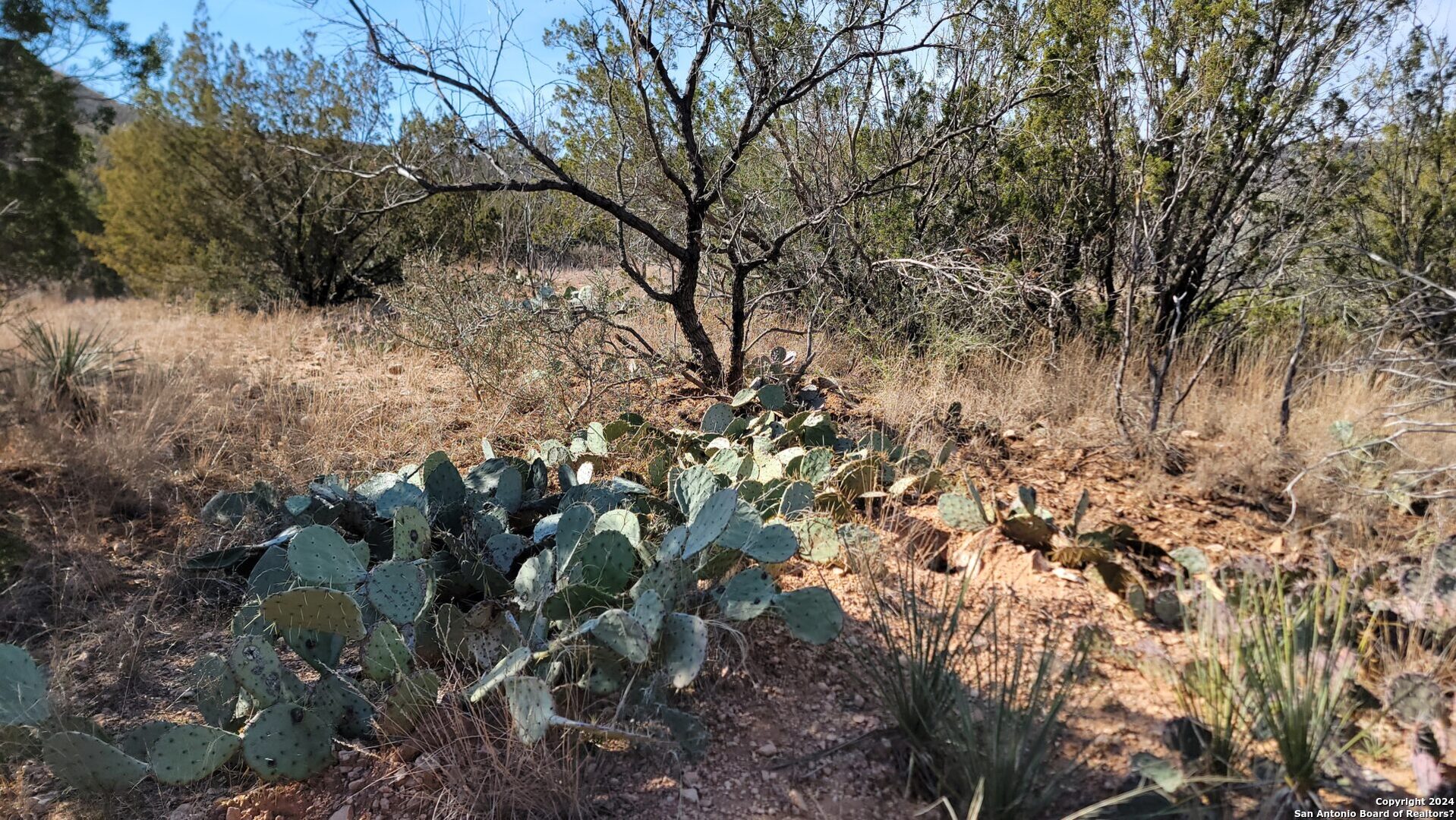 1 Warhorse Ranch Robert Lee, TX 76945 - Photo 29 of 31 a view of a yard