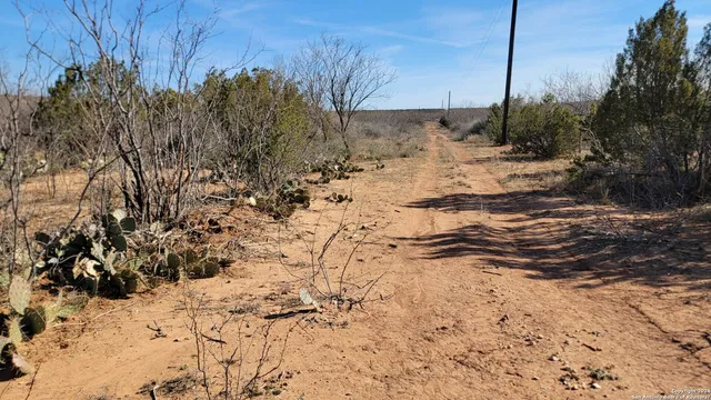a view of a yard covered in snow