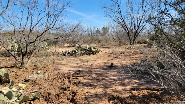 a view of snow covered with snow