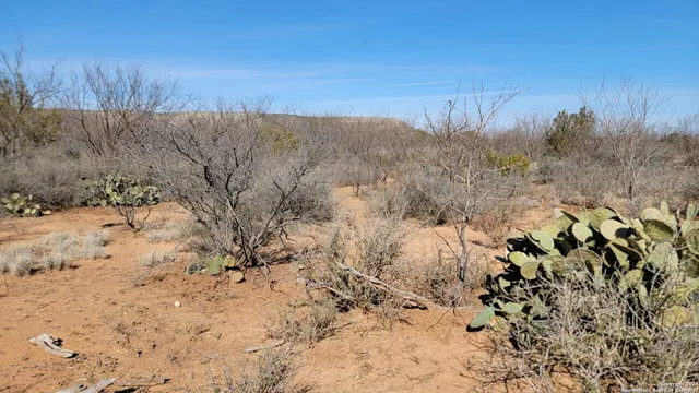 a view of a dry yard covered with snow