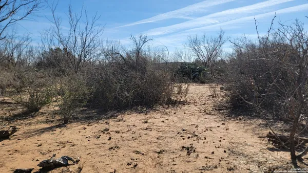 a view of a yard covered with snow in front of house