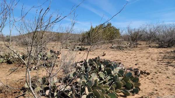 a view of a dry yard covered with snow