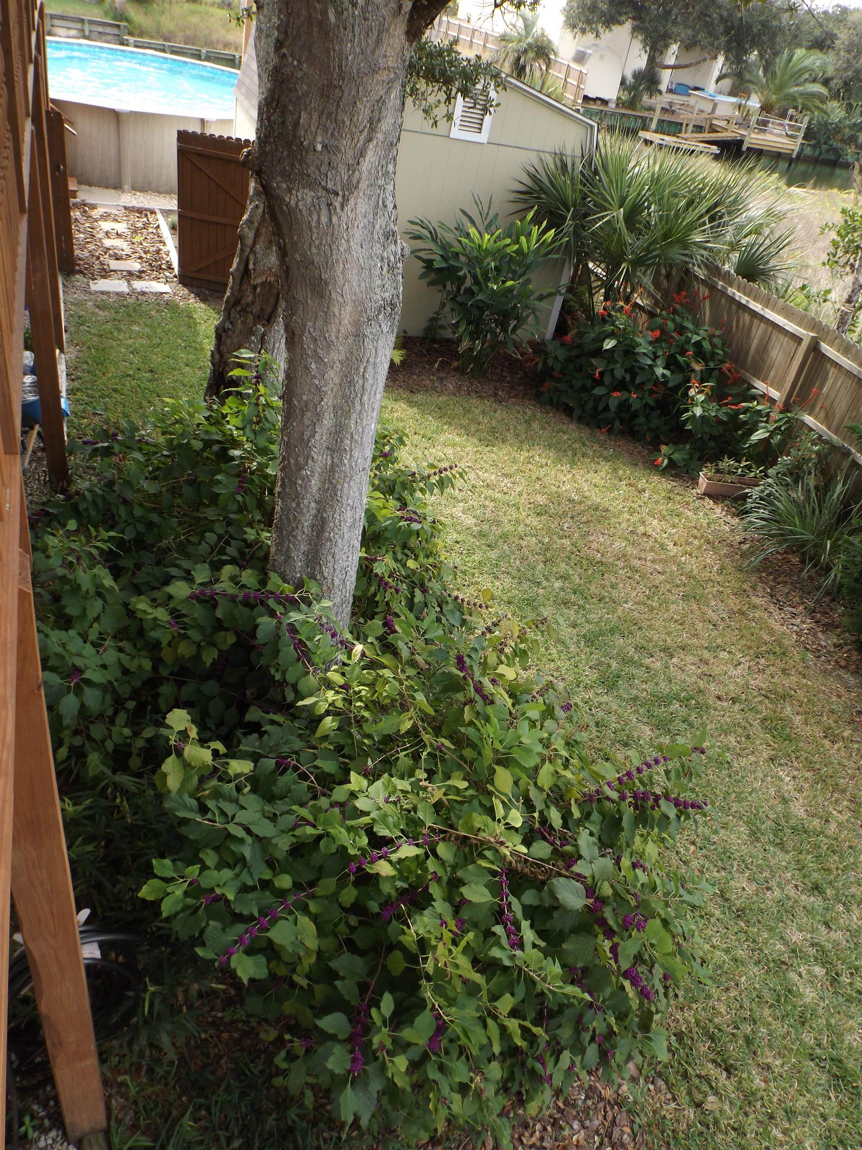 237 Villa Verda Road St. Augustine, FL 32080 - Photo 12 of 48 a view of a garden with plants and a bench