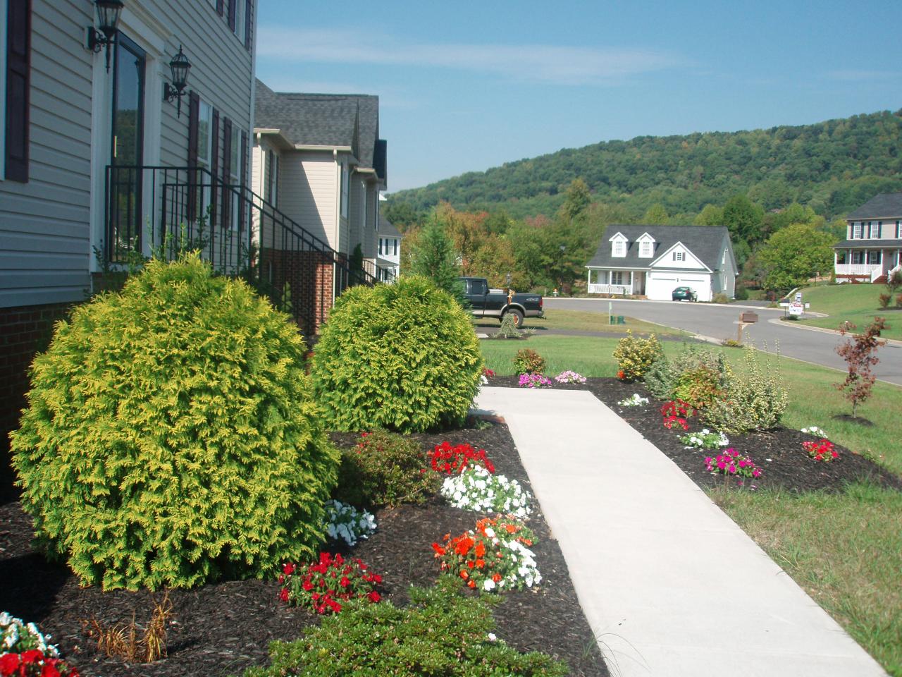 628 Castleridge Road Vinton, VA 24179 - Photo 2 of 9 Front Yard Plantings