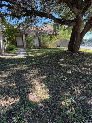 a view of backyard with large trees