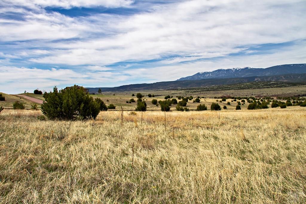 Tbd Garrett Road Beulah, CO 81023 - Photo 29 of 42 Gallery Image 29