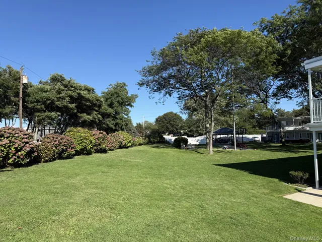 a view of a park with large trees