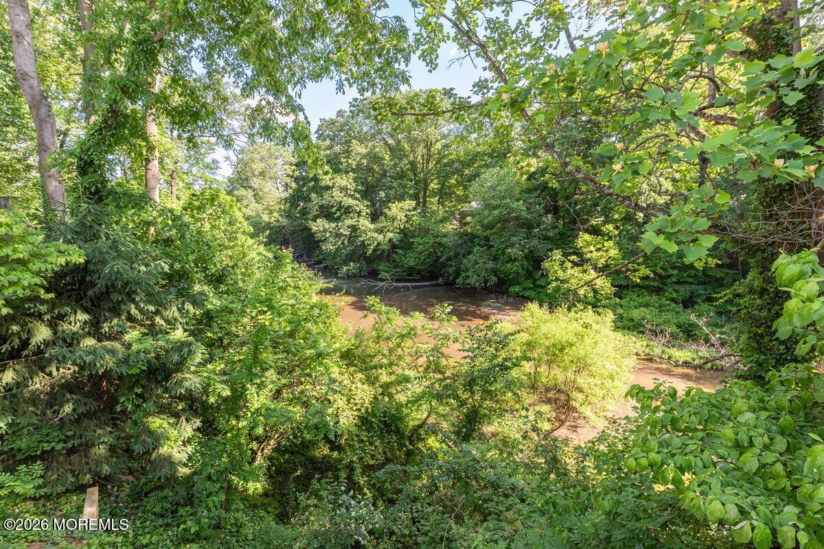 48 Ravine Drive Matawan, NJ 07747 - Photo 31 of 31 View from Deck