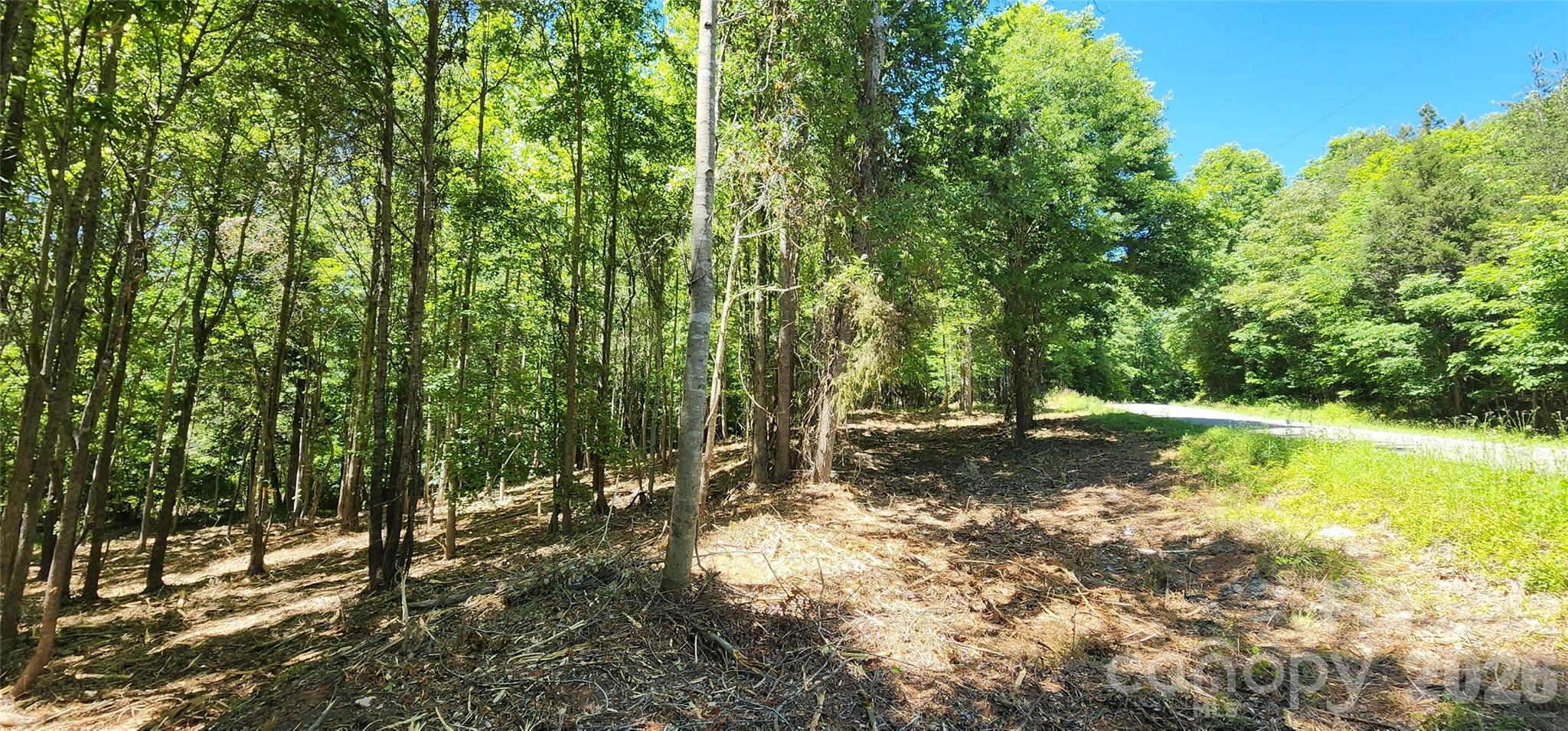 480 Brown Road Spartanburg, SC 29302 - Photo 30 of 47 a view of yard